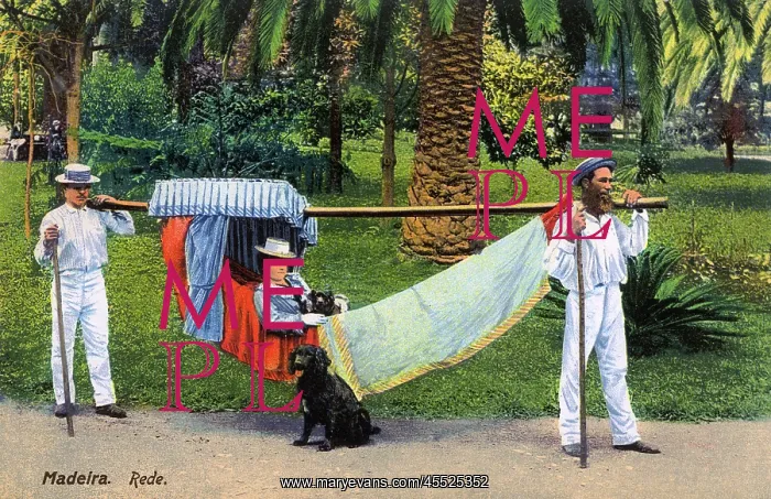 : Madeira - Transporting Hammock : Madeira - Transporting Hammock