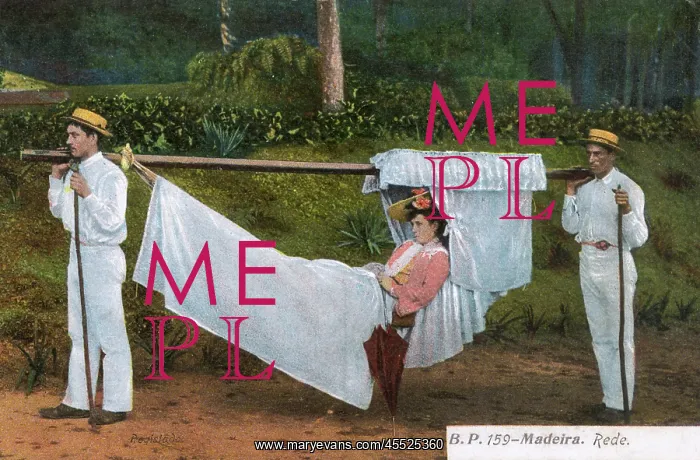 : Madeira - Transporting Hammock : Madeira - Transporting Hammock