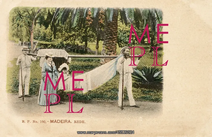 : Madeira - Transporting Hammock : Madeira - Transporting Hammock