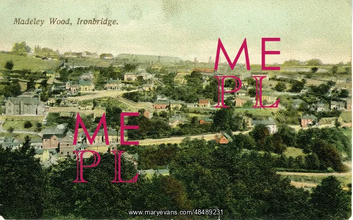 : Madeley Wood, Ironbridge, Shropshire : Madeley Wood, Ironbridge, Shropshire