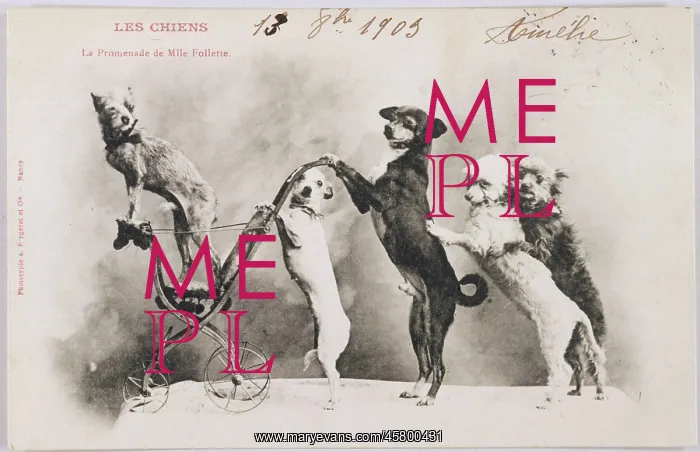 : MADEMOISELLE FOLLETTE : MADEMOISELLE FOLLETTE
