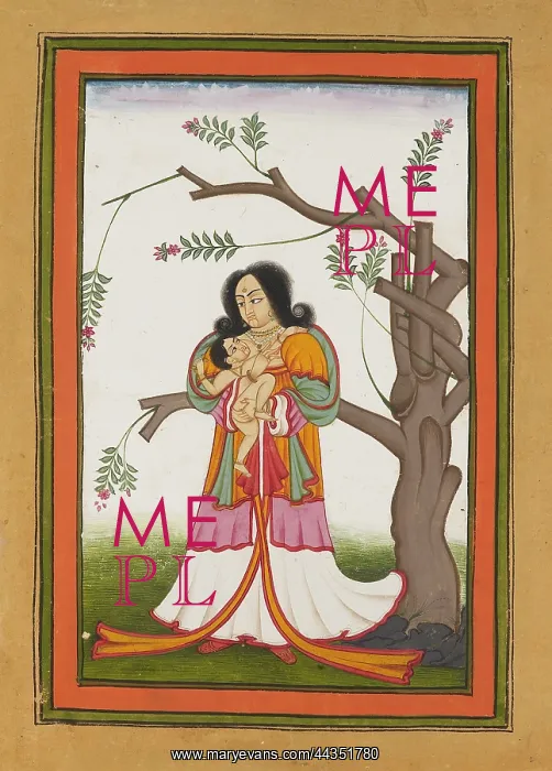 : The Madonna : The Madonna