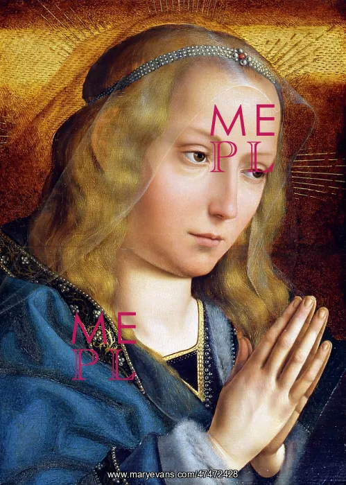 : The Madonna in Adoration : The Madonna in Adoration