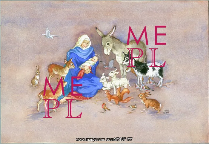  : Madonna and Child with Birds and Animals