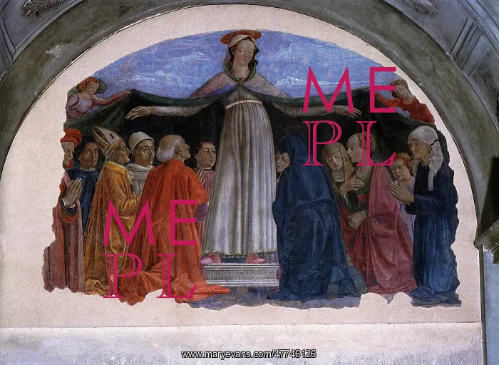 : Madonna della Misericordia : Madonna della Misericordia