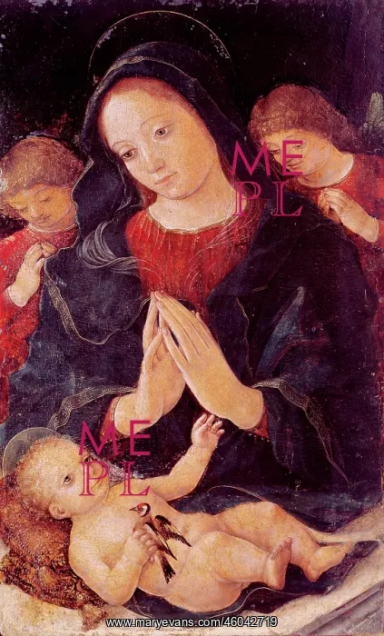 : Madonna with goldfinch : Madonna with goldfinch