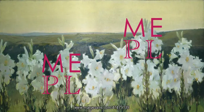 : Madonna Lilies - with landscape : Madonna Lilies - with landscape