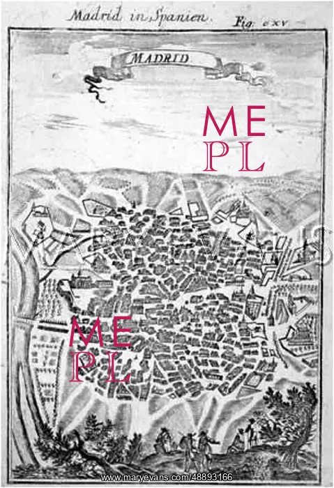  : MADRID / BIRDS EYE C1700