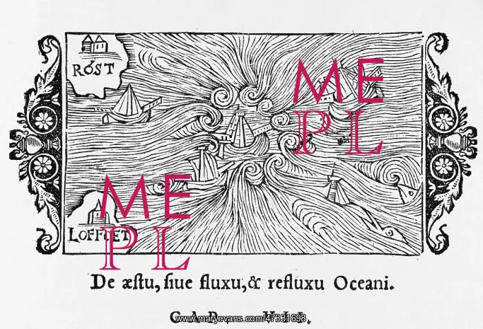 : MAELSTROM OFF NORWAY : MAELSTROM OFF NORWAY