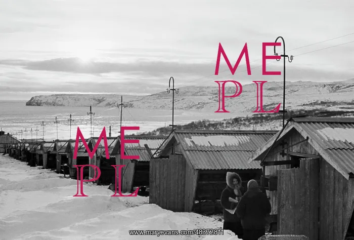 : Magadansky state fur farm : Magadansky state fur farm