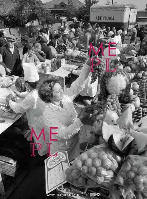 : Magarif Collective Farm : Magarif Collective Farm
