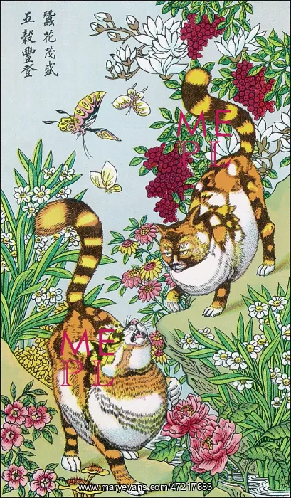  : MAGIC CATS OF CHINA