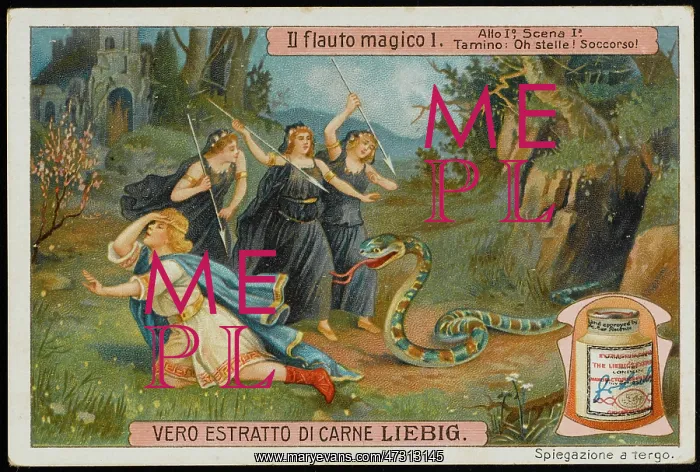 : Magic Flute - Liebig 1 : Magic Flute - Liebig 1
