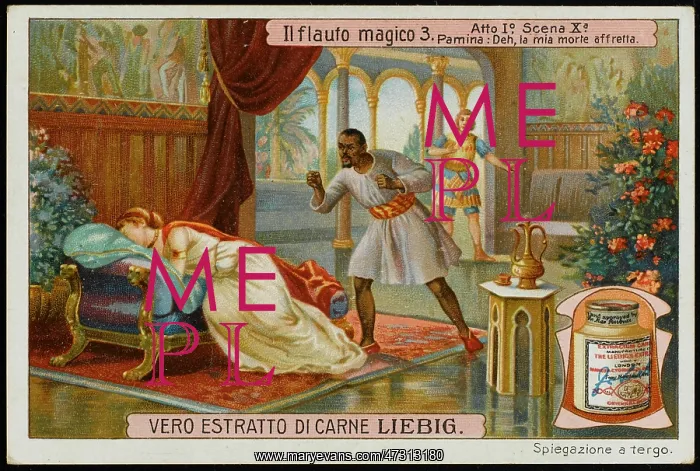 : Magic Flute - Liebig 3 : Magic Flute - Liebig 3