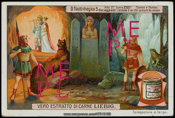 : Magic Flute - Liebig 5 : Magic Flute - Liebig 5