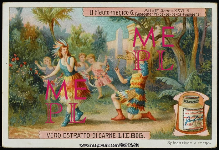 : Magic Flute - Liebig 6 : Magic Flute - Liebig 6