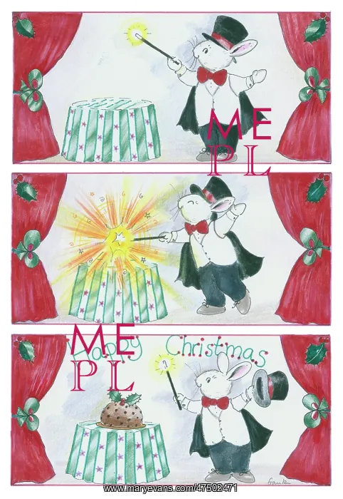 : Magician rabbit with Christmas pudding : Magician rabbit with Christmas pudding