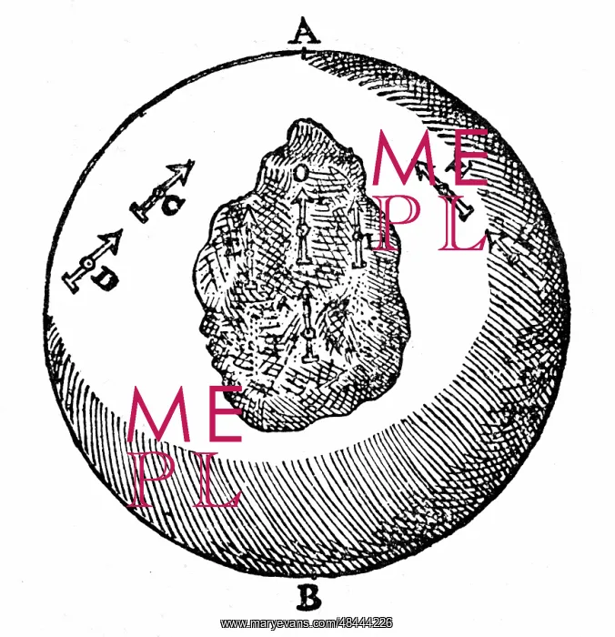 : Magnetic needles on a terrella will point towards : Magnetic needles on a terrella will point towards