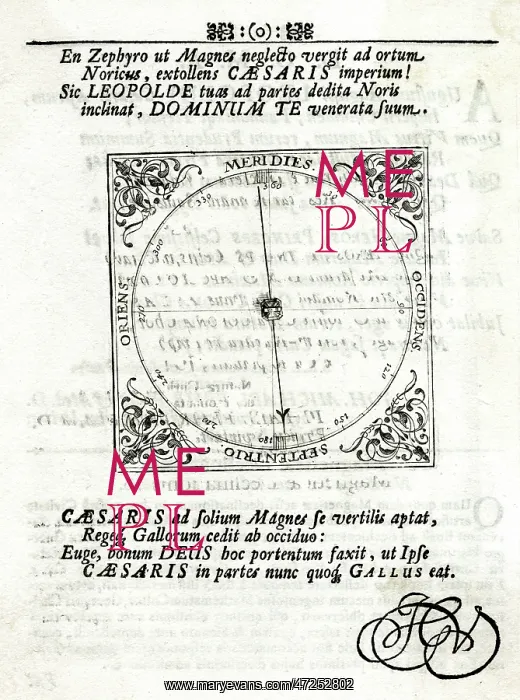 : MAGNETIC POLE : MAGNETIC POLE
