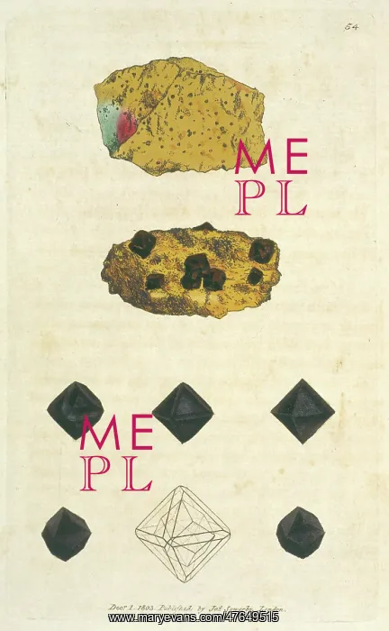  : Magnetite. Plate 54 from James Sowerby's British Mineralogy