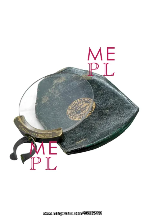  : Magnifier Walking Stick