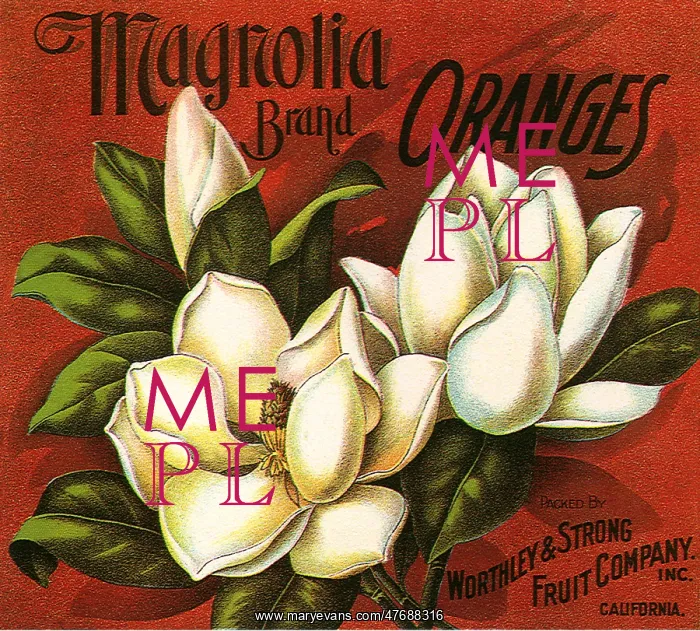  : Magnolia Fruit Label