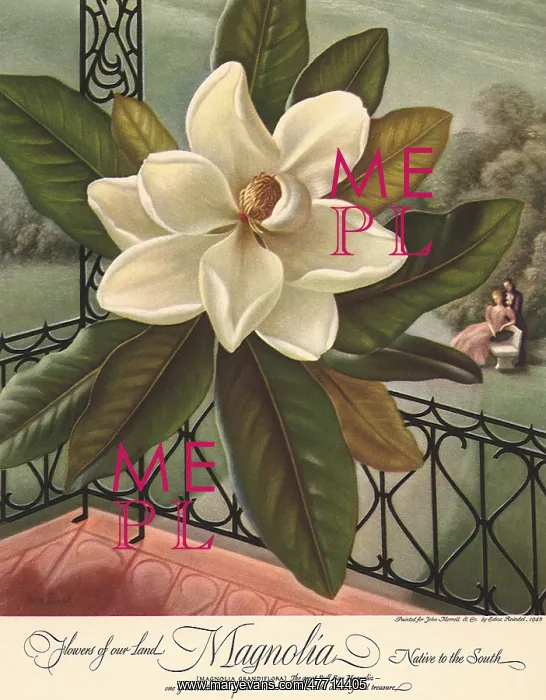  : Magnolia on the Railing