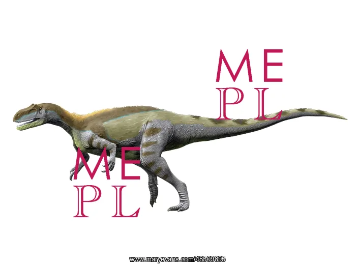  : Magnosaurus nethercombensis, Middle Jurassic of England