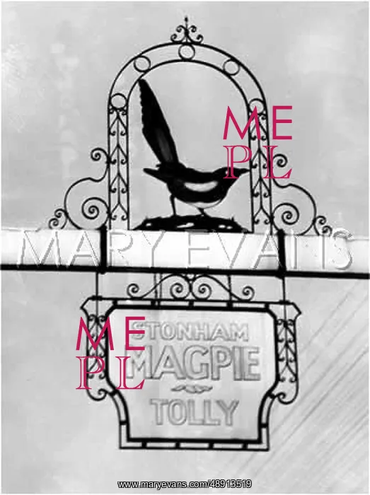 : THE MAGPIE INN PUB : THE MAGPIE INN PUB