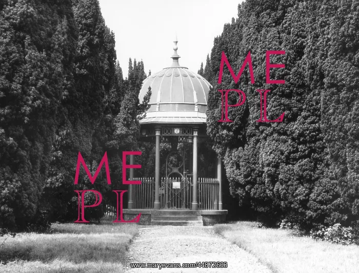 : THE MAHARAJAH'S WELL : THE MAHARAJAH'S WELL