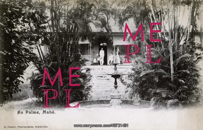  : Mahe, Seychelles - An Palme