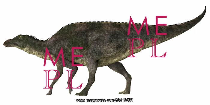 : Maiasaura dinosaur : Maiasaura dinosaur