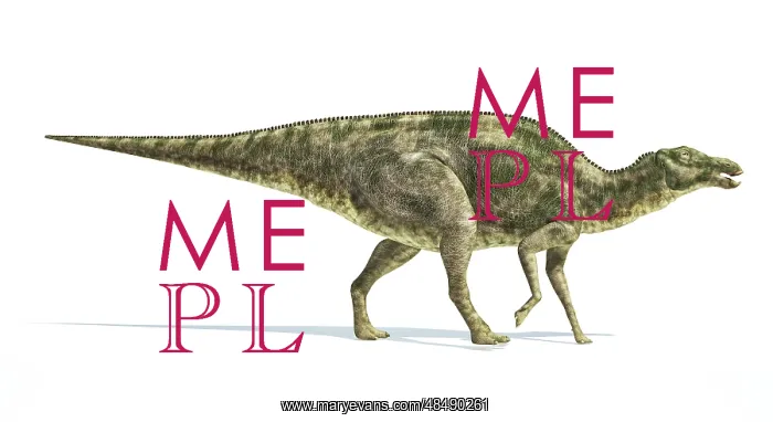 : Maiasaura dinosaur on white background : Maiasaura dinosaur on white background