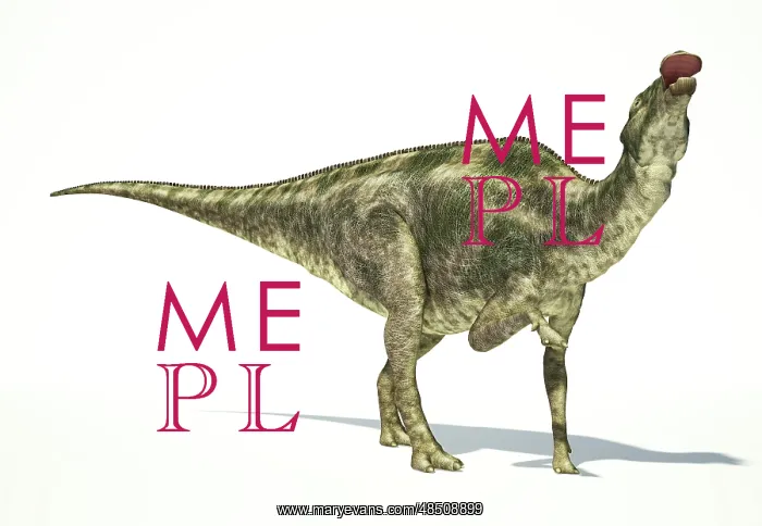 : Maiasaura dinosaur on white background : Maiasaura dinosaur on white background