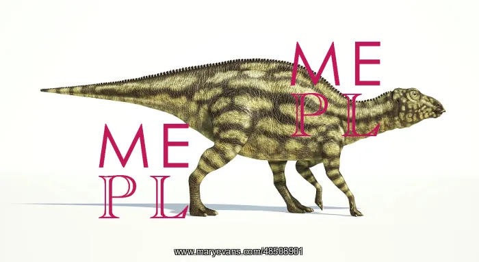 : Maiasaura dinosaur on white background : Maiasaura dinosaur on white background