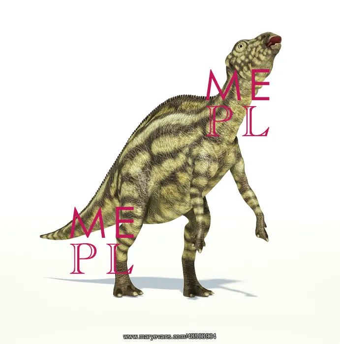 : Maiasaura dinosaur on white background : Maiasaura dinosaur on white background