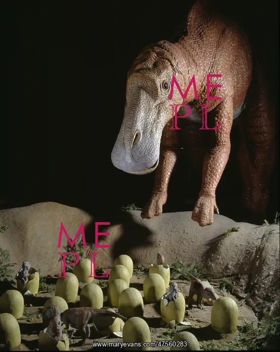 : Maiasaura with nest of eggs and hatchlings : Maiasaura with nest of eggs and hatchlings