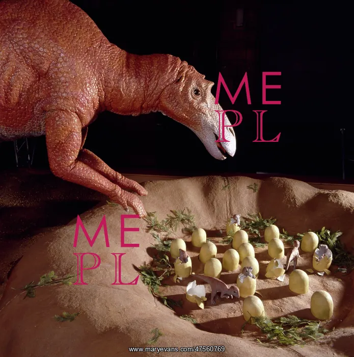 : Maiasaura with nest of eggs and hatchlings : Maiasaura with nest of eggs and hatchlings