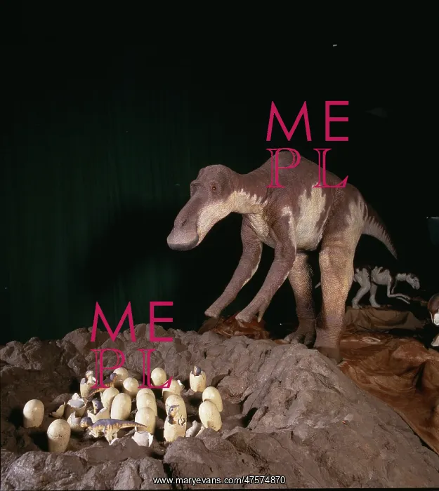 : Maiasaura with nest of eggs and hatchlings : Maiasaura with nest of eggs and hatchlings