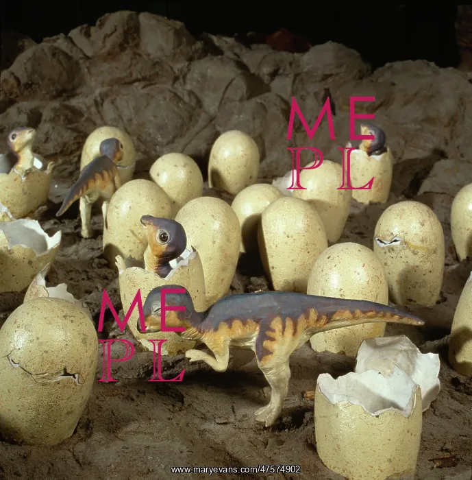 : Maiasaura with nest of eggs and hatchlings : Maiasaura with nest of eggs and hatchlings