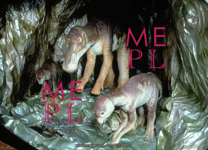 : Maiasaura with young : Maiasaura with young
