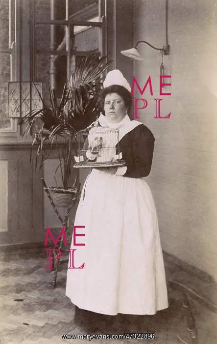  : MAID AND PET BIRD