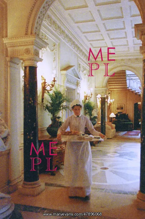 : MAID WITH TRAY : MAID WITH TRAY