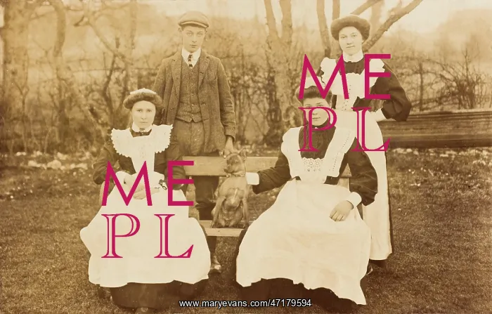  : MAIDSERVANTS AND DOG