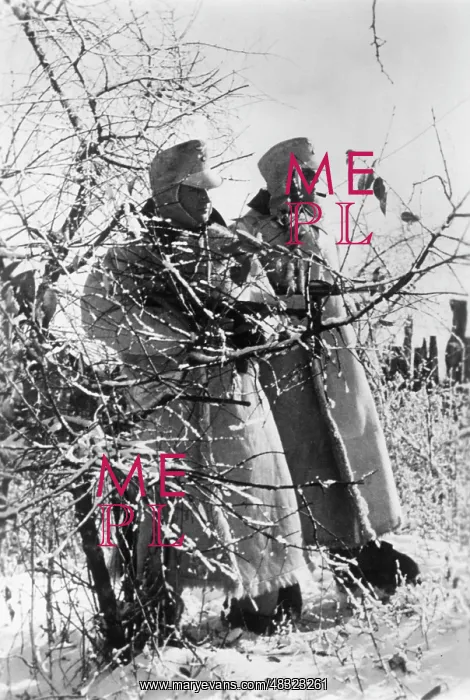 : Maikop Front, Caucasus, 1942 : Maikop Front, Caucasus, 1942