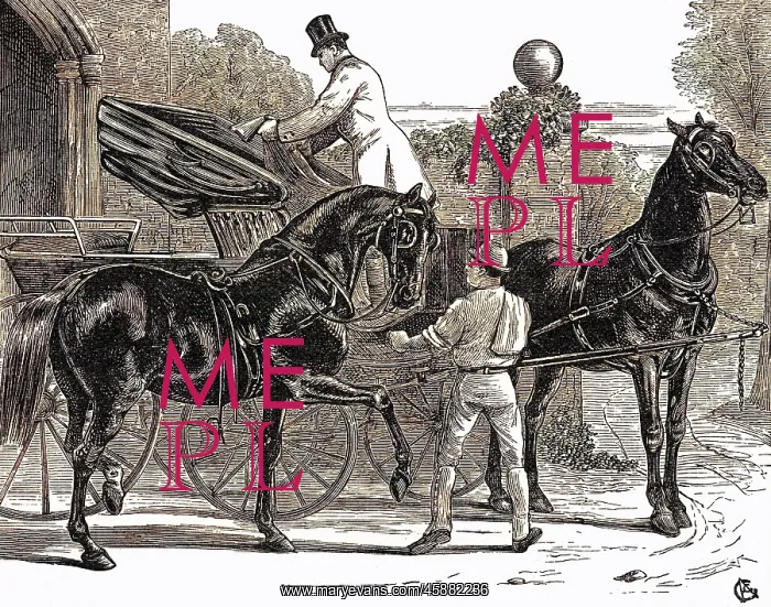 : Mail Phaeton - 1872 : Mail Phaeton - 1872