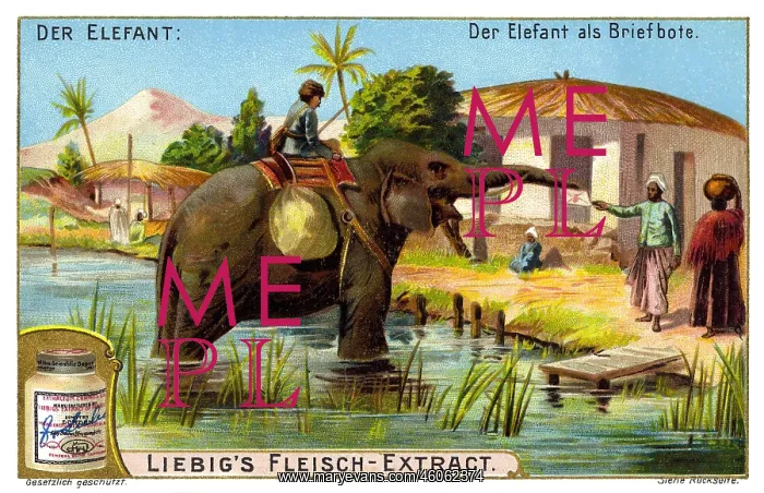 : mail, post, elephant as postman, India, advertising : mail, post, elephant as postman, India, advertising