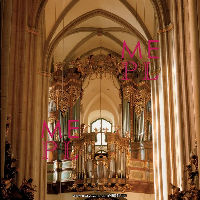 : Main organ at the western gallery : Main organ at the western gallery