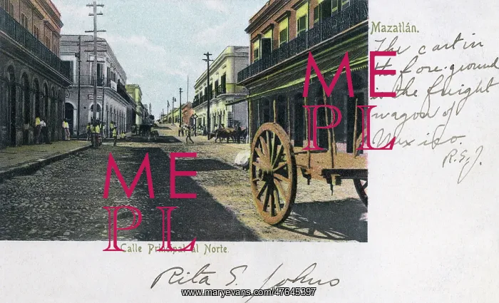 : Main street in Mazatlan, Sinaloa, Mexico : Main street in Mazatlan, Sinaloa, Mexico