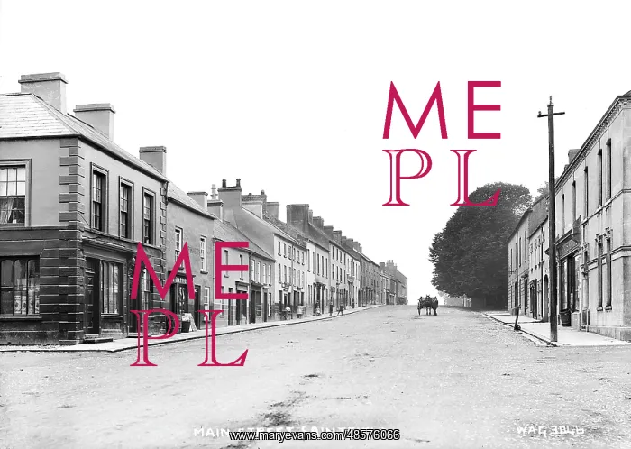 : Main Street, Saintfield : Main Street, Saintfield